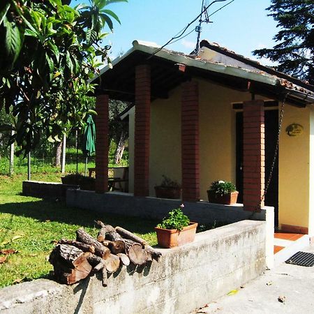 L'Albero Delle Noci Villa Lanciano Exterior photo